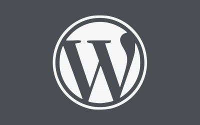 Is WordPress For You?